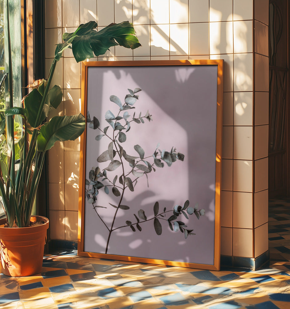 Eucalyptus 12 | Poster
