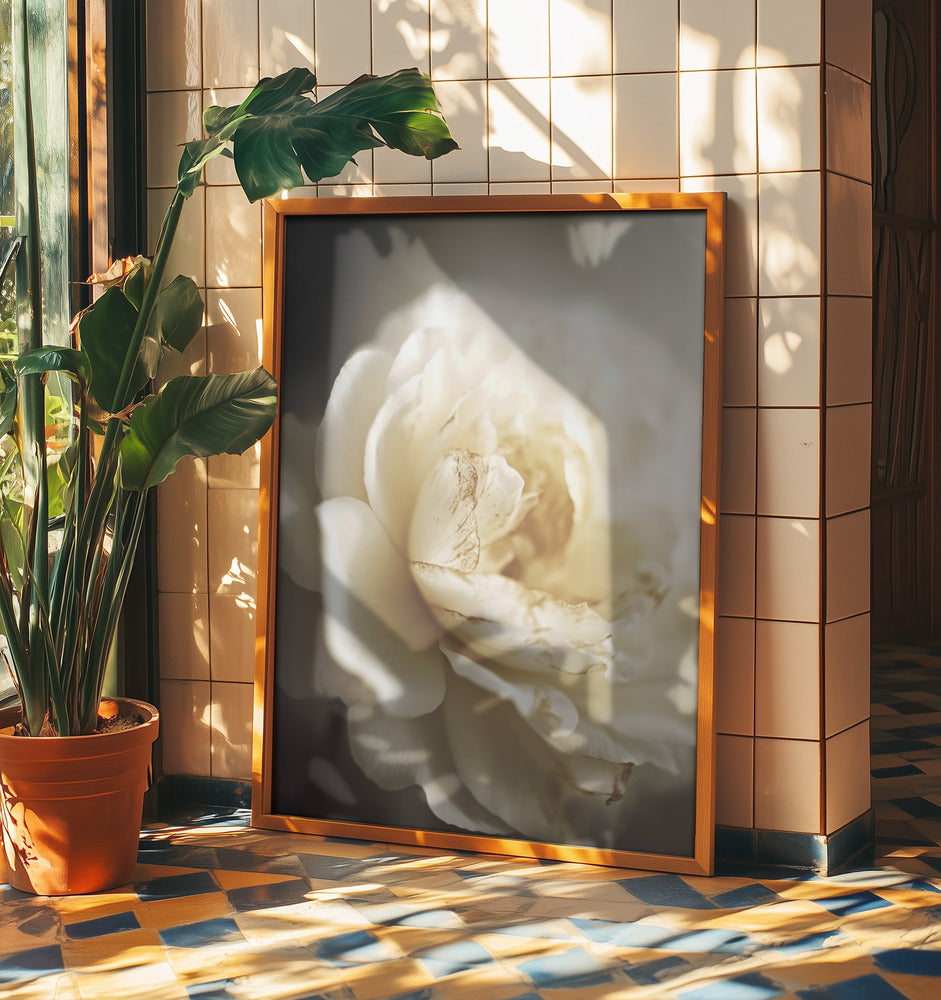 Peonyinsoftlight | Poster