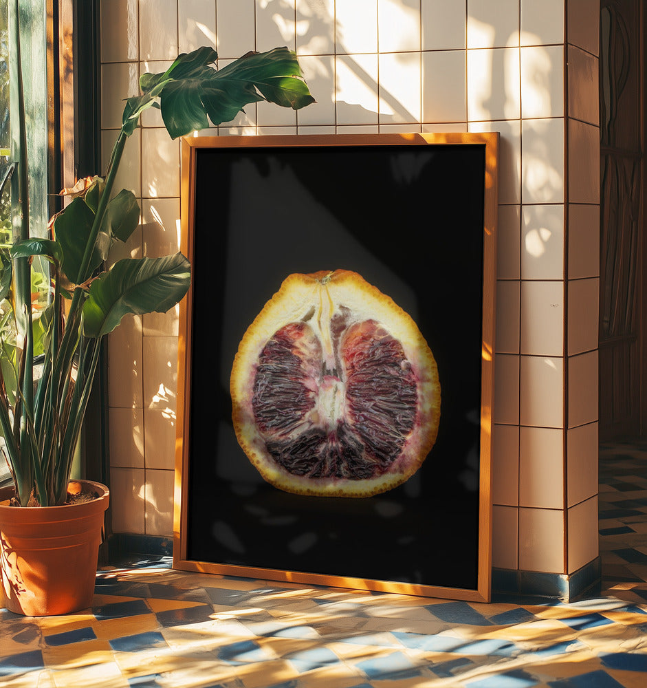 Purpurrote Scheibe | Poster