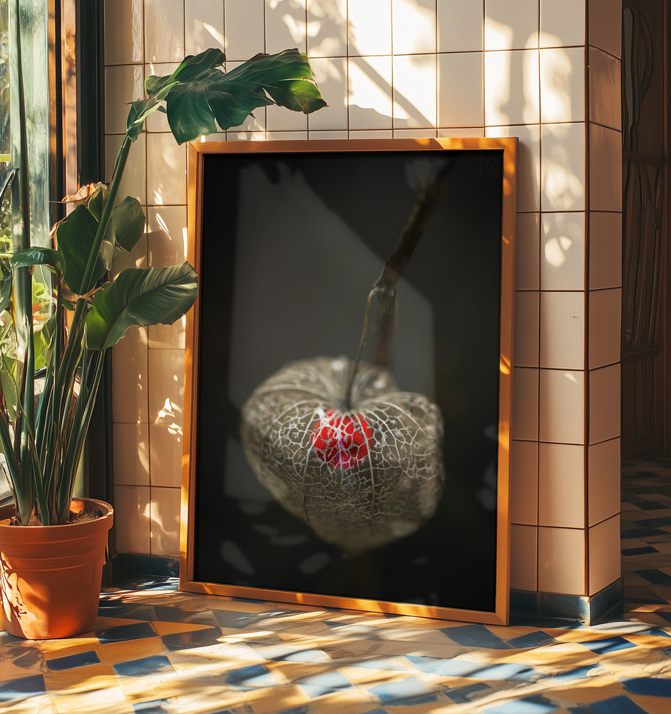 L'amour en cage | Posters - Affiche Artistique