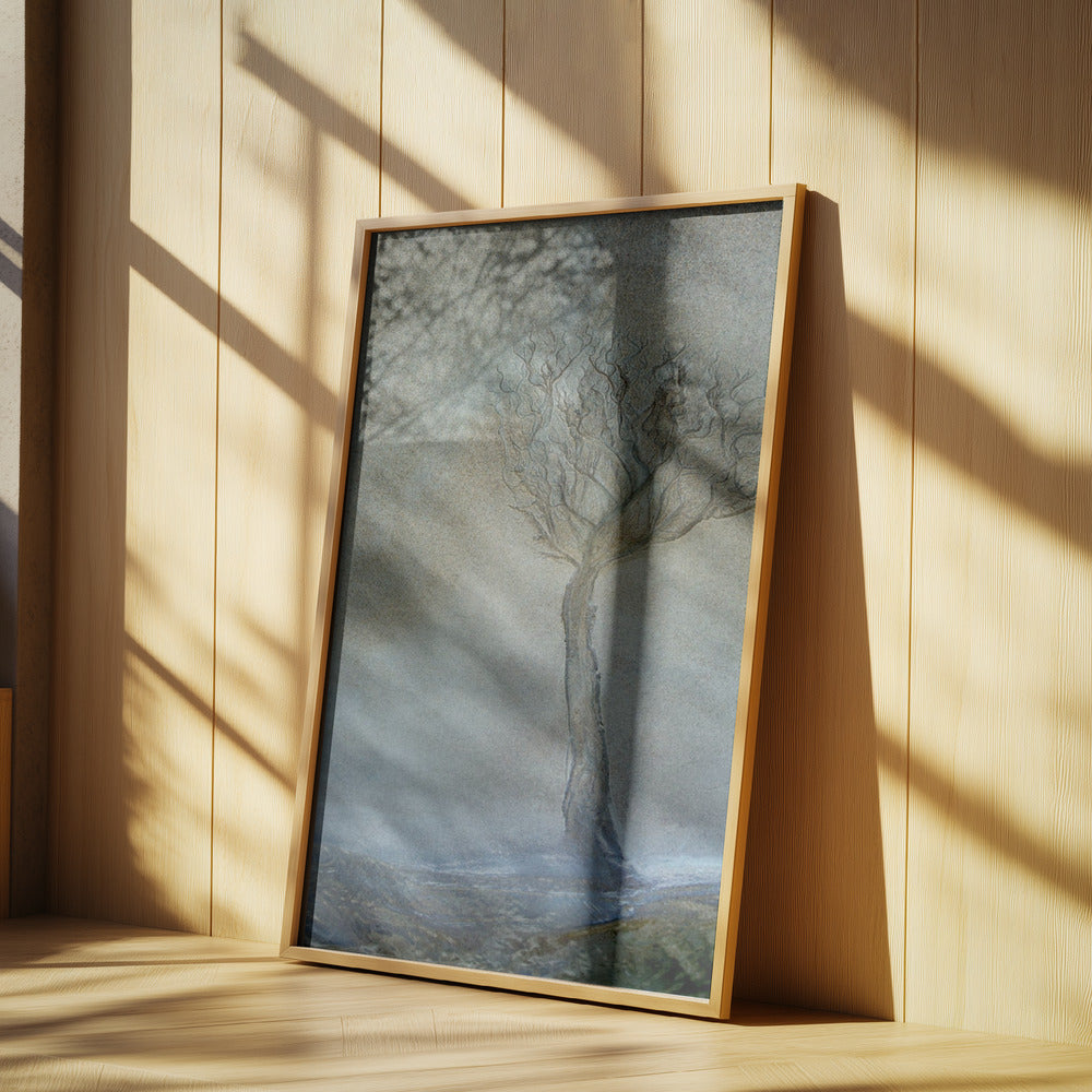 Lonely tree | Poster