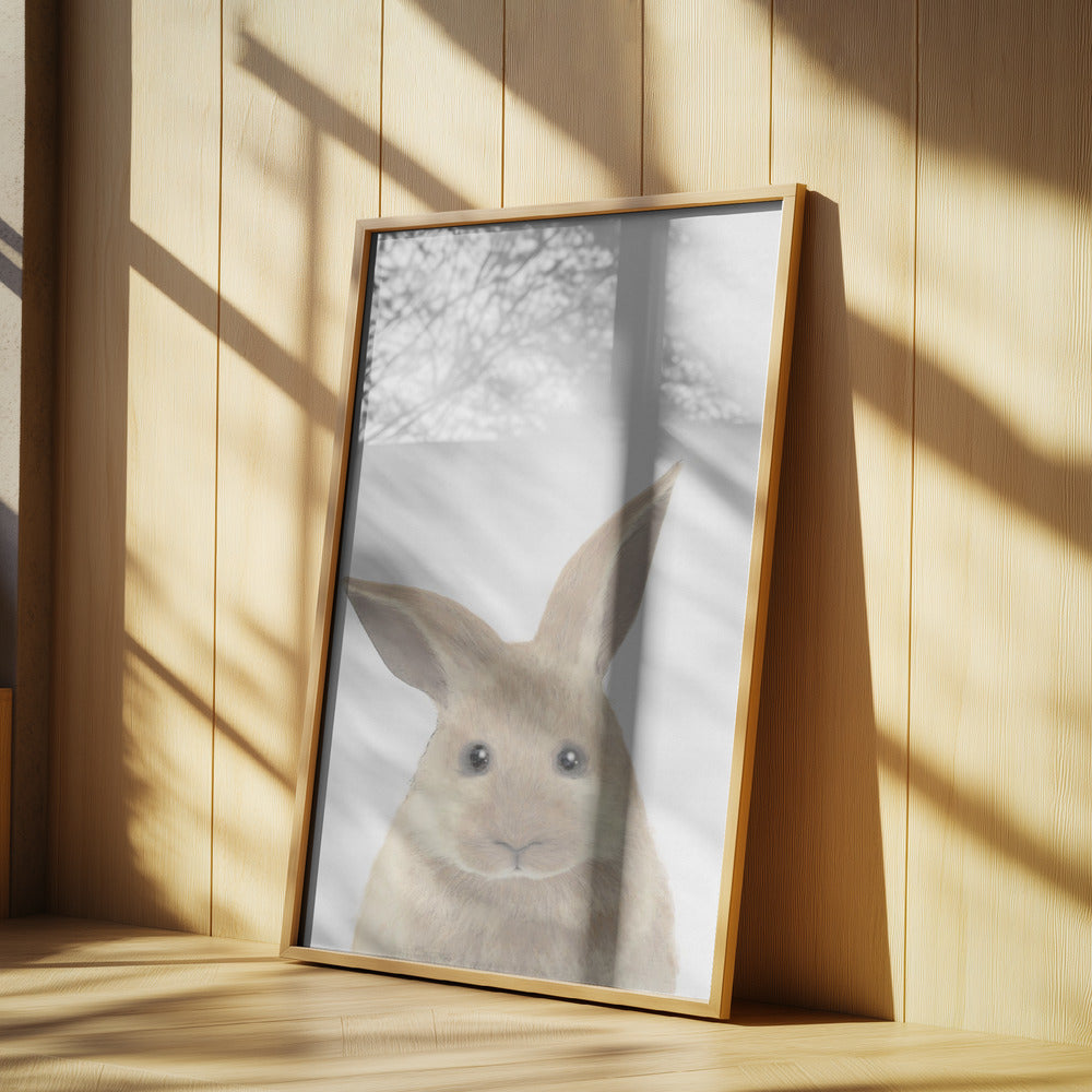 Rabbit | Poster
