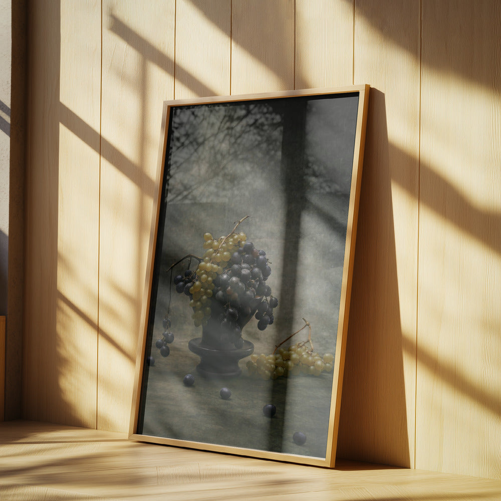 Traube | Poster - Kunstdruck