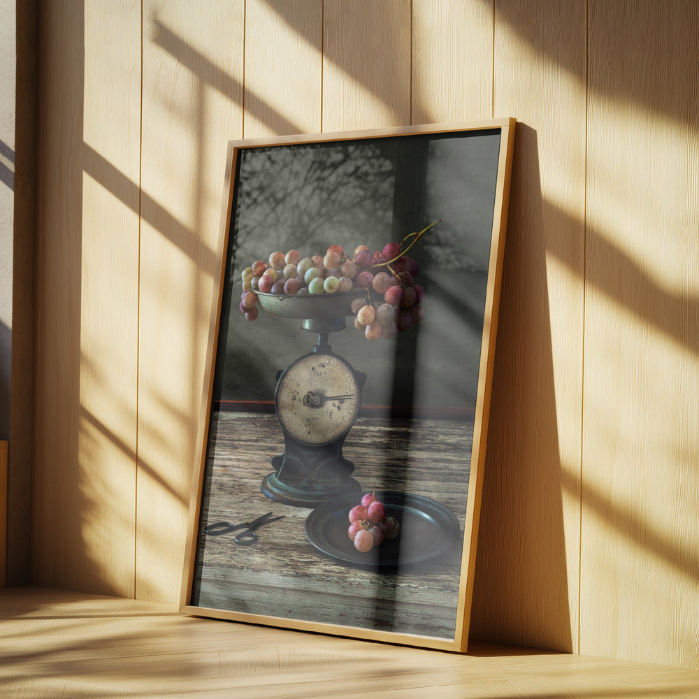Stilleben med druvor i skala | Poster