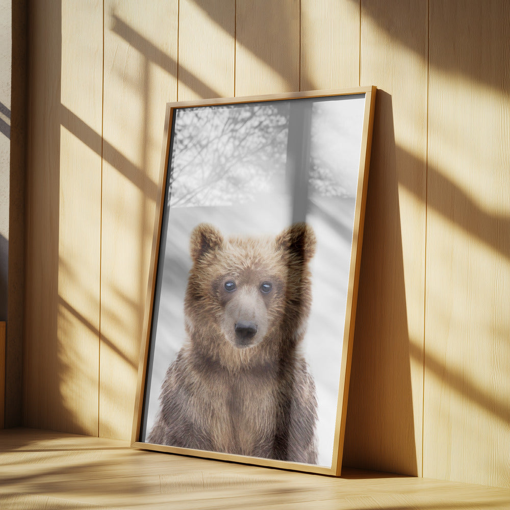Baby Bear | Poster