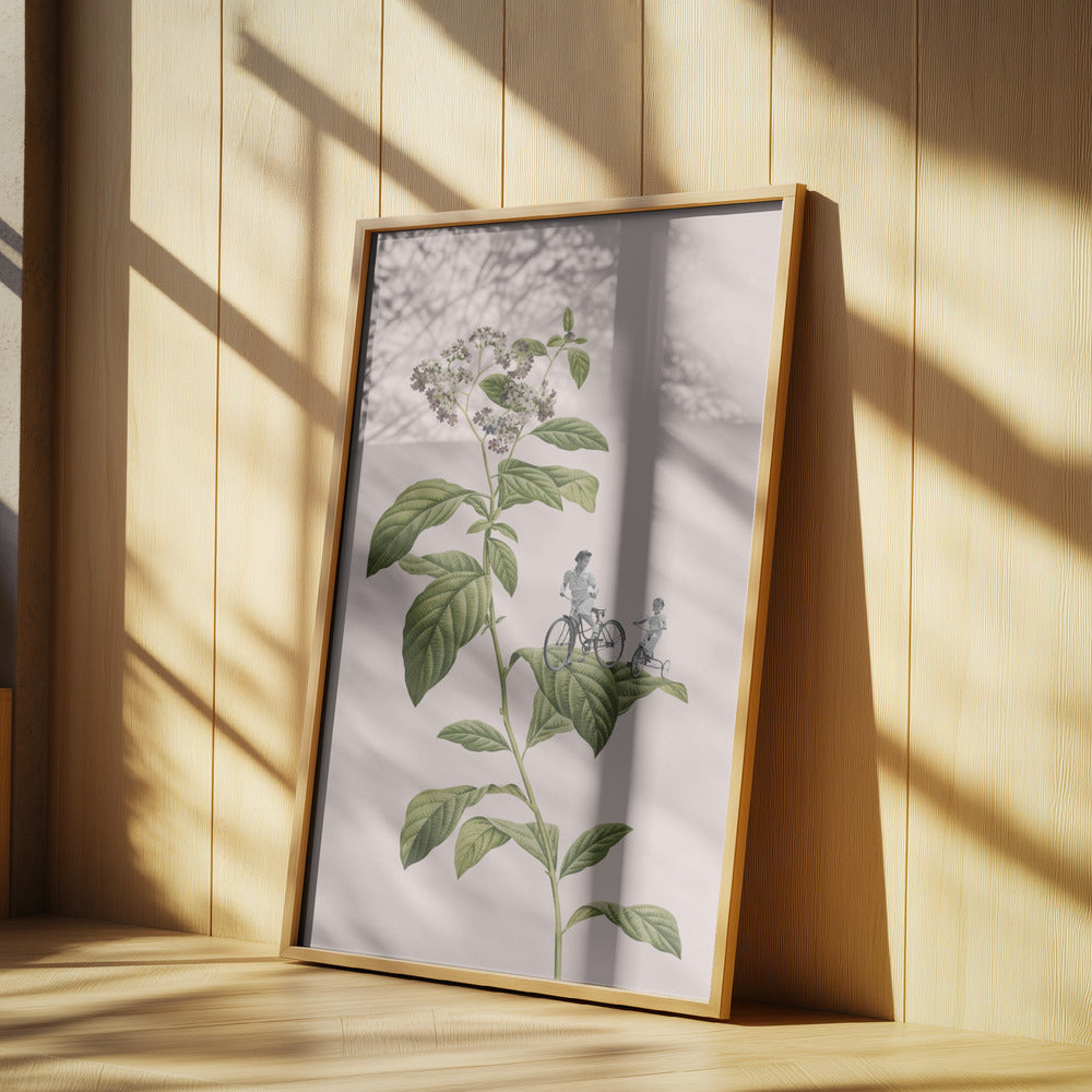 Botanisk cykling | Poster