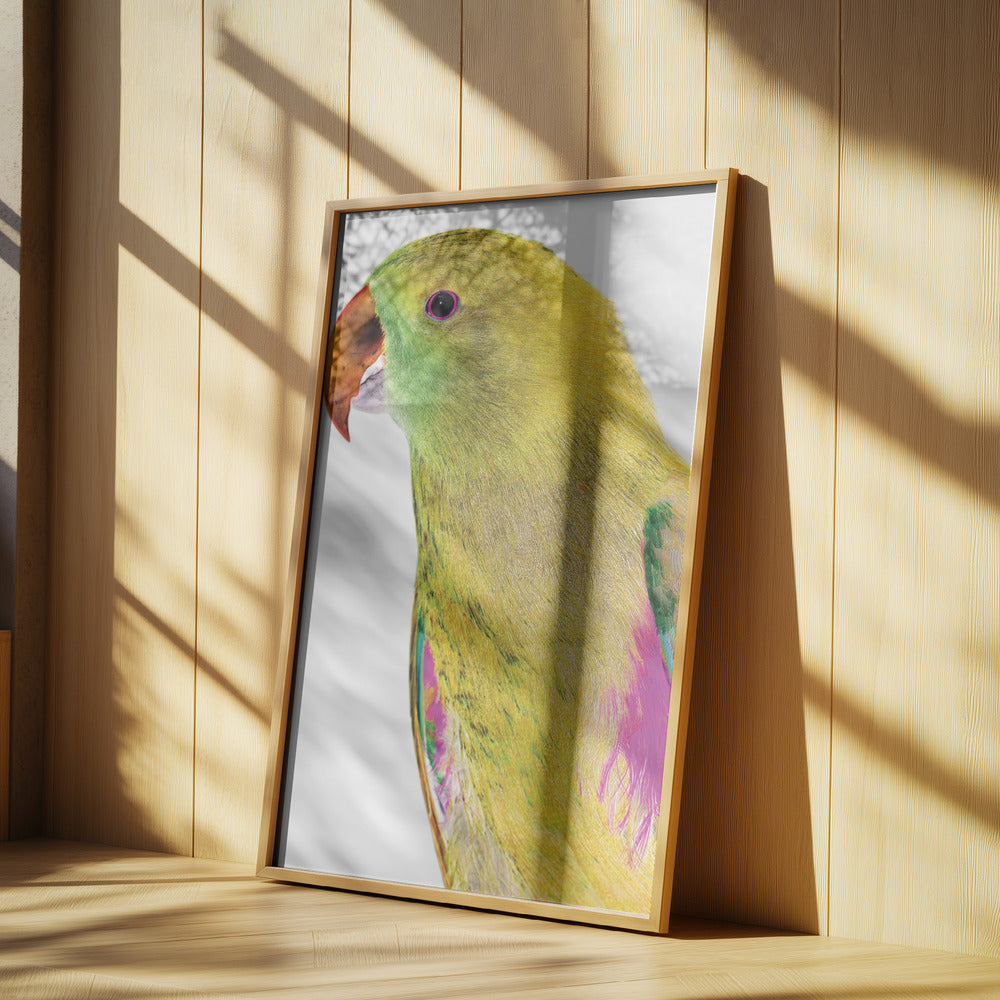 Livfull papegojprofil | Poster