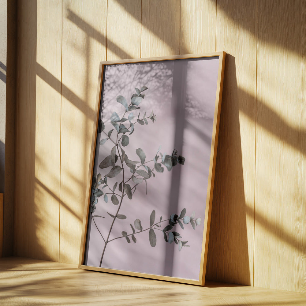 Eucalyptus 12 | Poster
