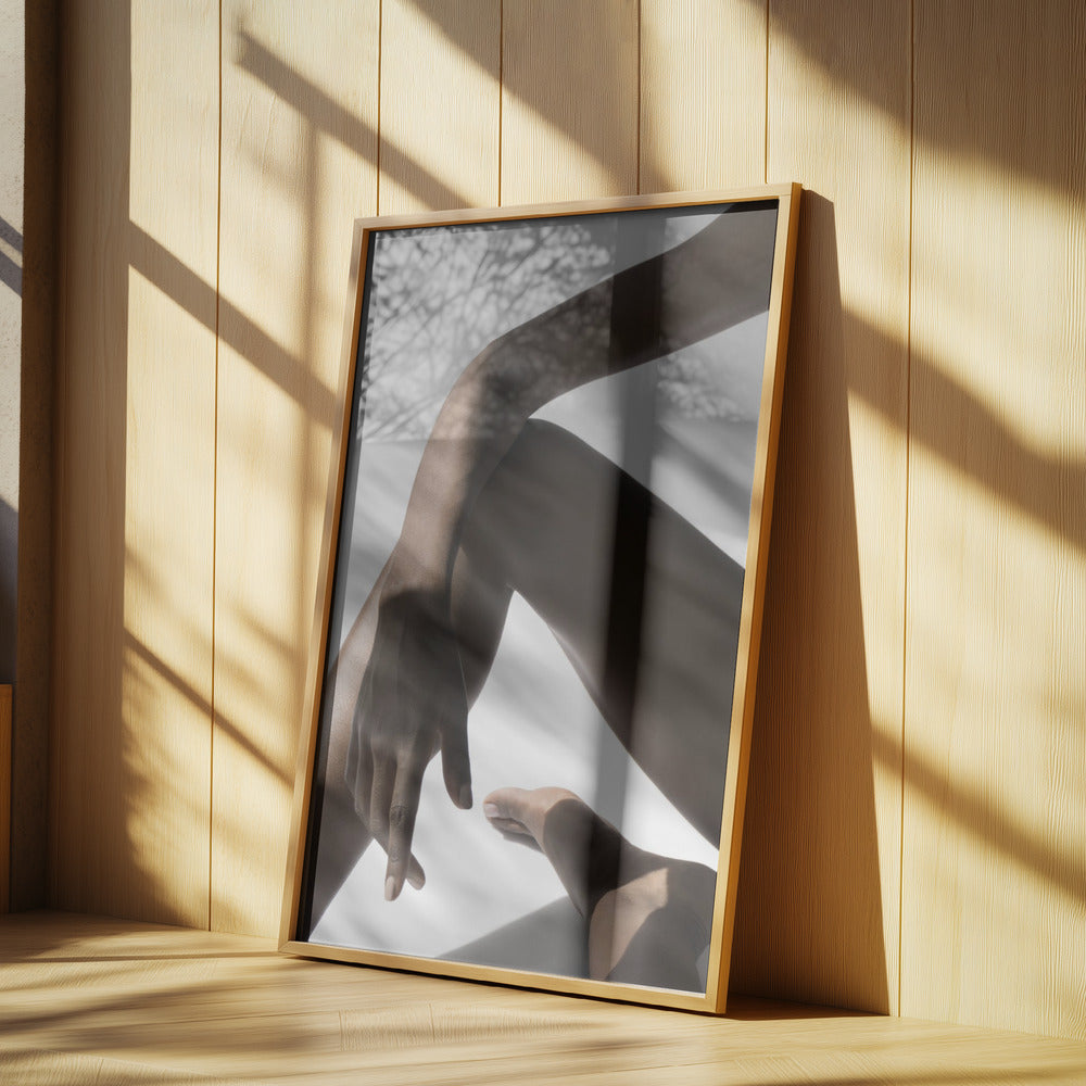 Kroppslandskap | Poster