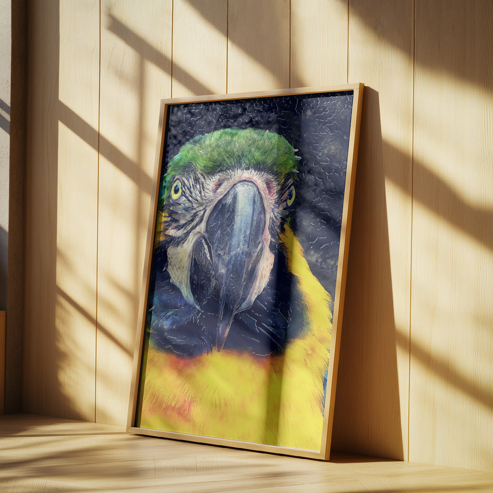 Animals Parrot Watercolor Animal Art | Poster