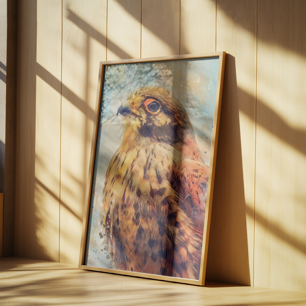 Animal Kestrel Watercolor Animal Art | Poster