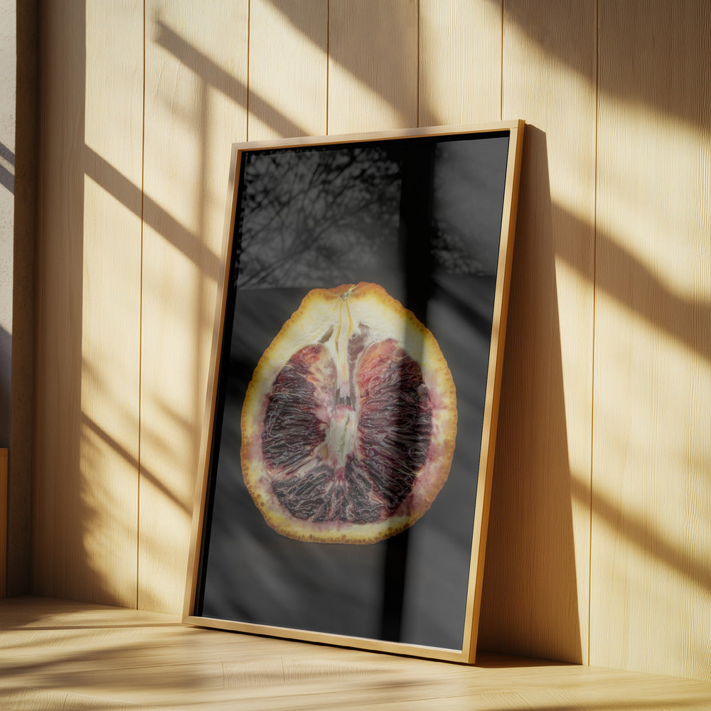 Purpurrote Scheibe | Poster