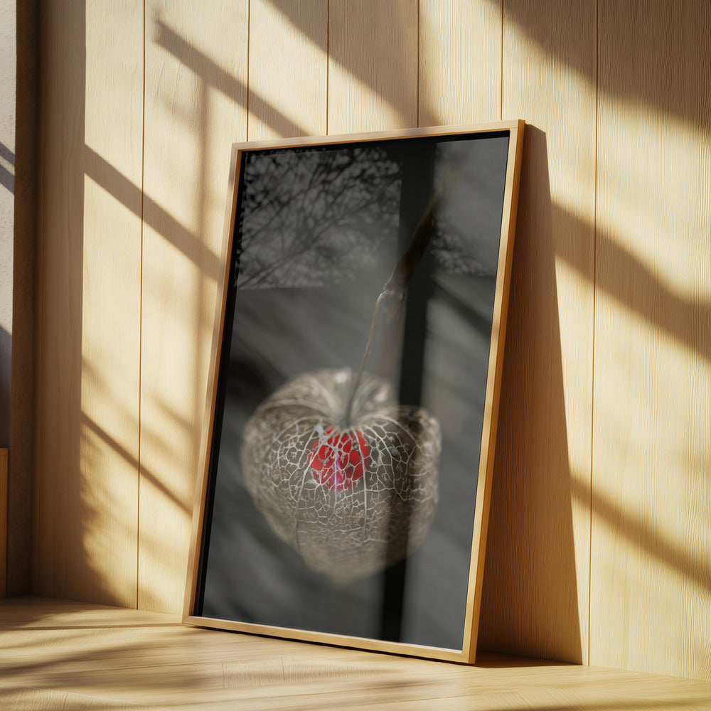 L'amour en cage | Posters - Affiche Artistique