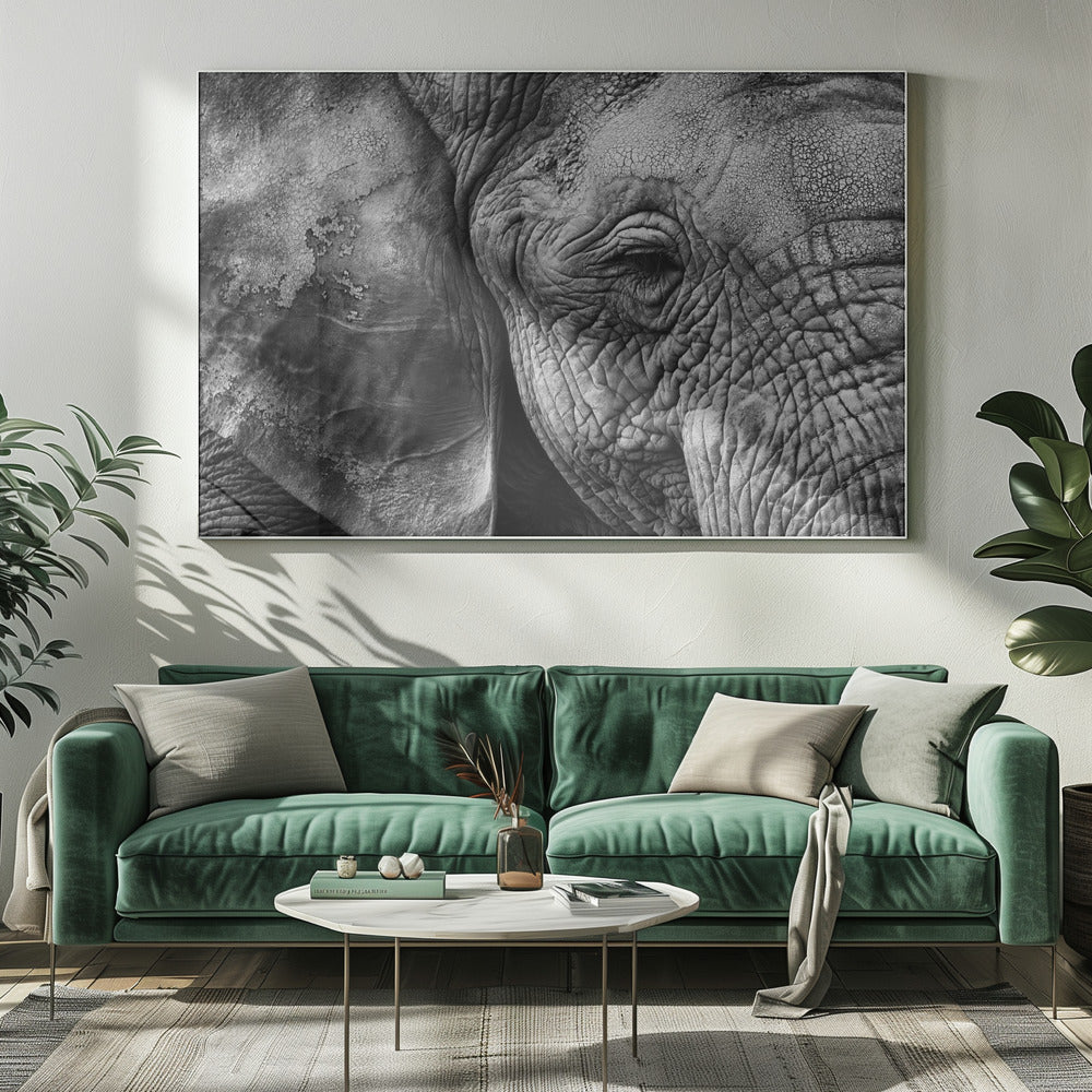 Elephant skin | Canvas