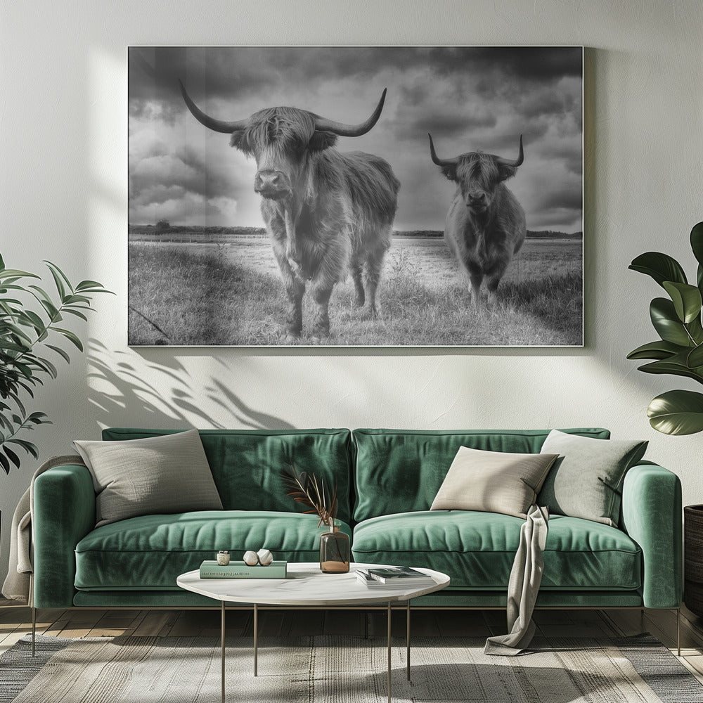 Hautes Terres | Tableaux sur Toile