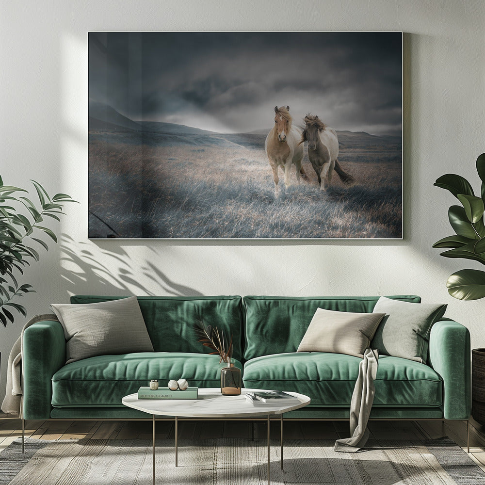The brothers | Canvas