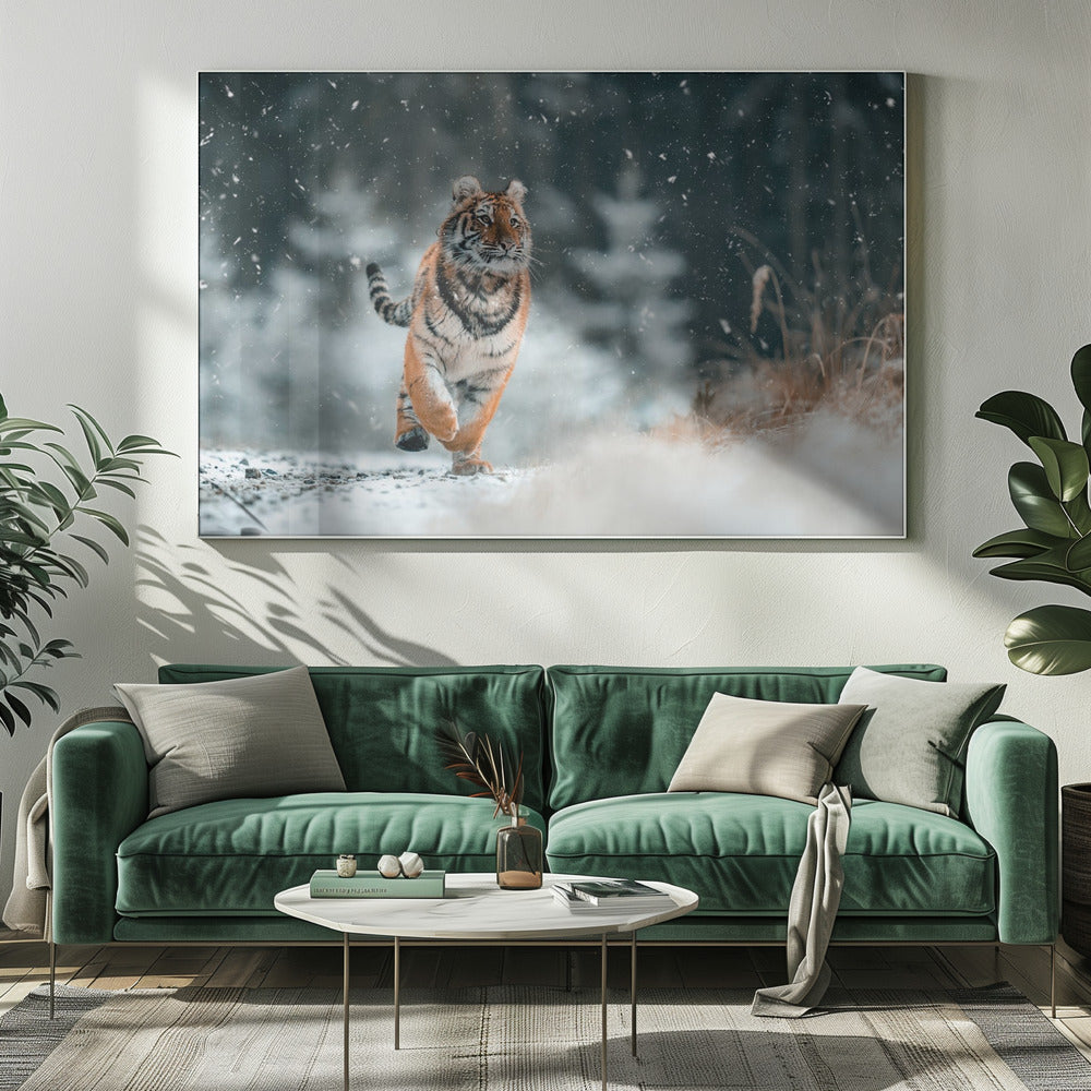 The Siberian tiger | Canvas