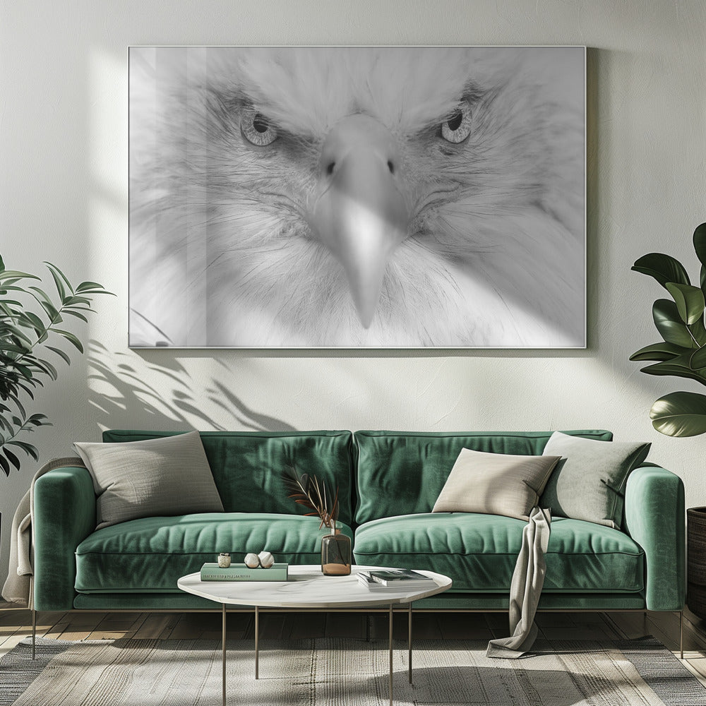 Mördarögon | Canvas