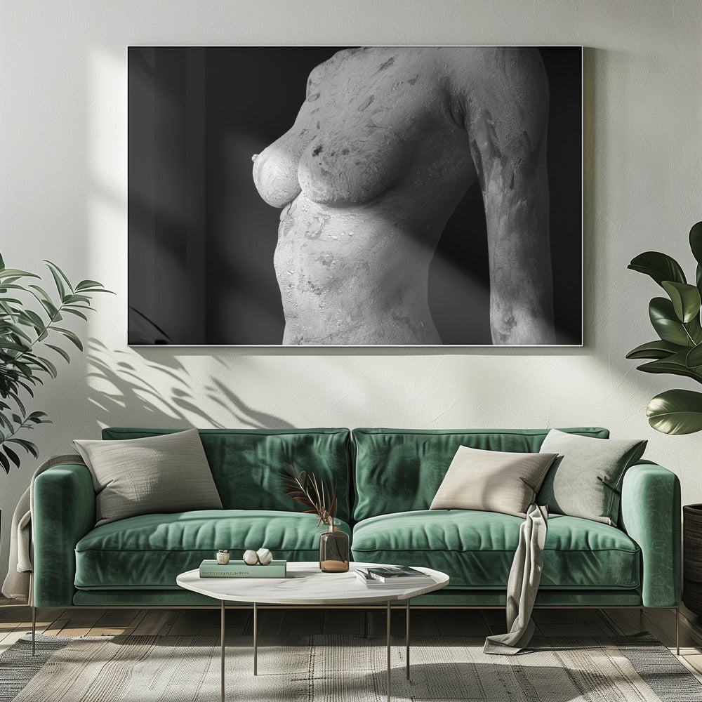 Abweichende Schönheit | Leinwand-Bilder