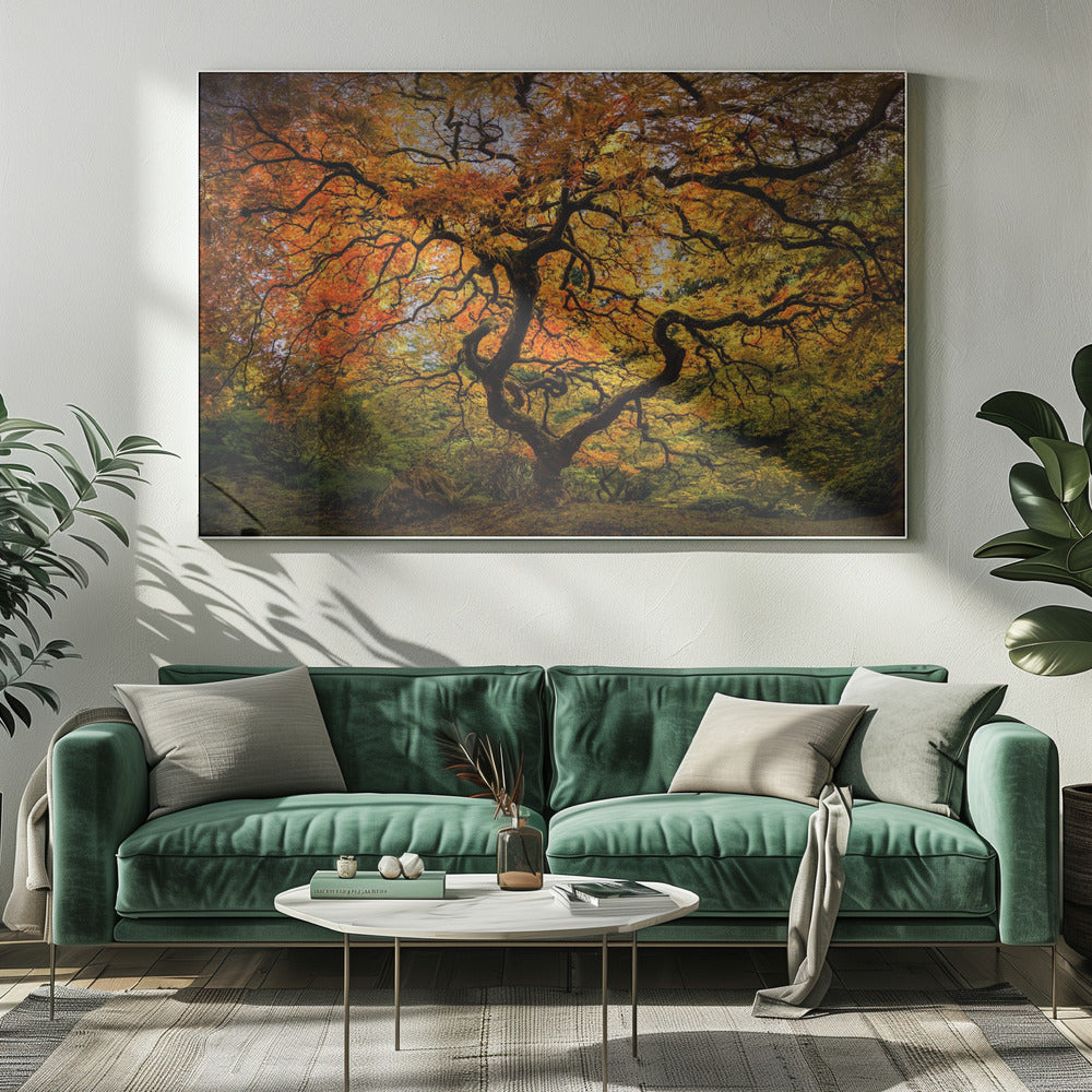 Lönnträdet | Canvas