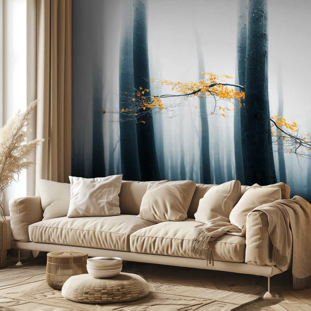 Speulder revisitado | Papel Pintado Fotográfico