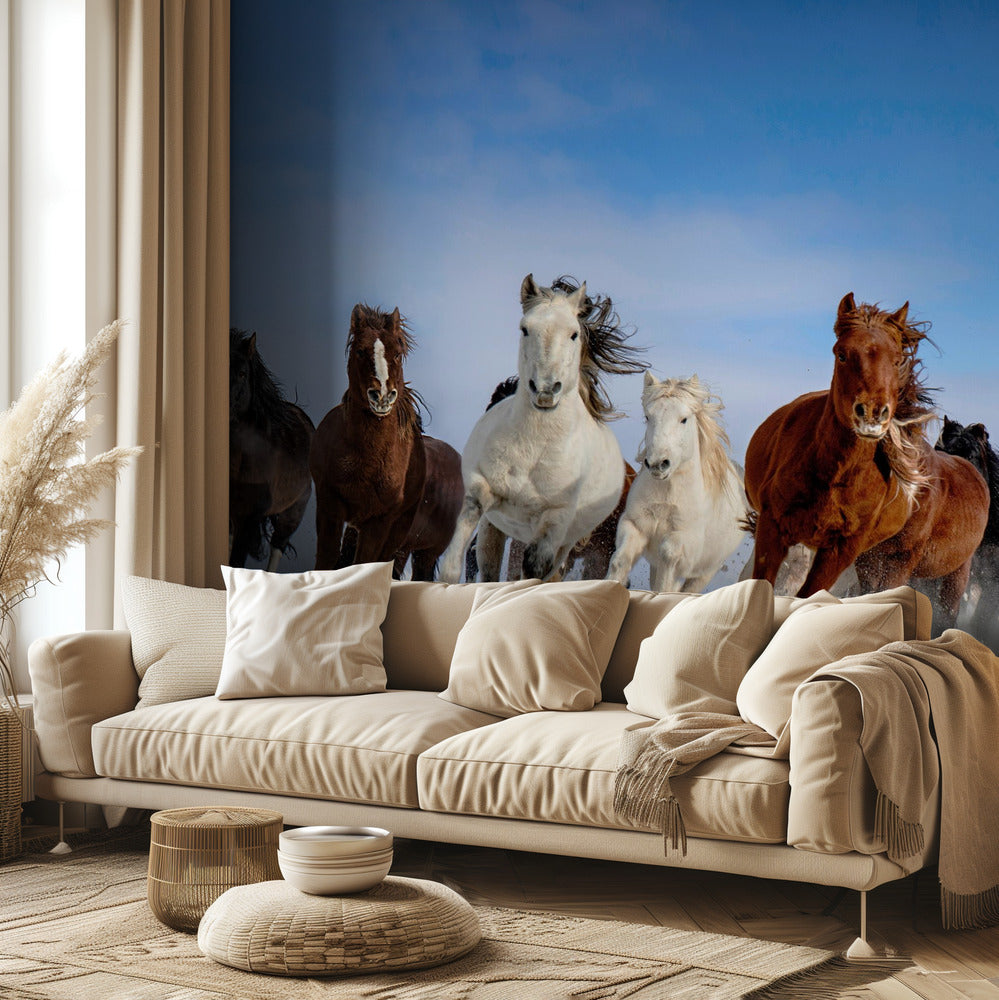 Caballos de Mongolia | Papel Pintado Fotográfico