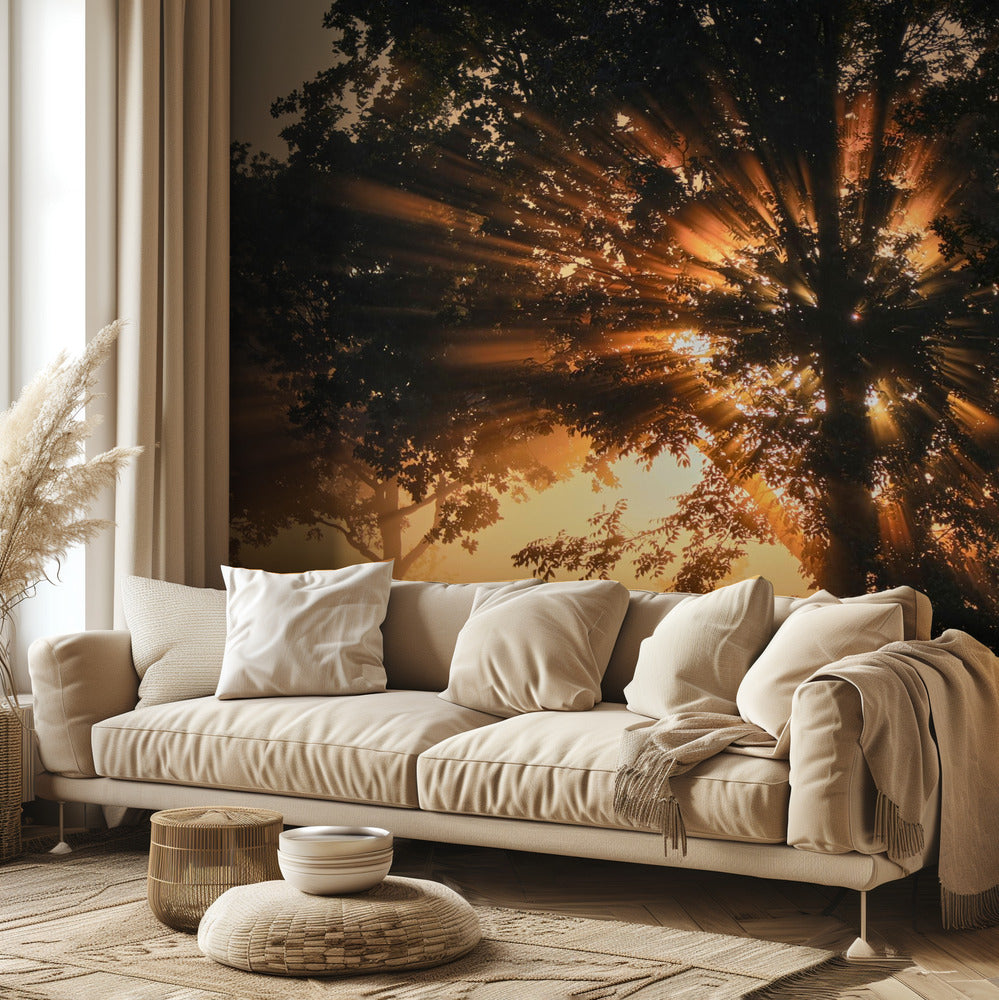 Arbre en feu | Papier Peint Photo
