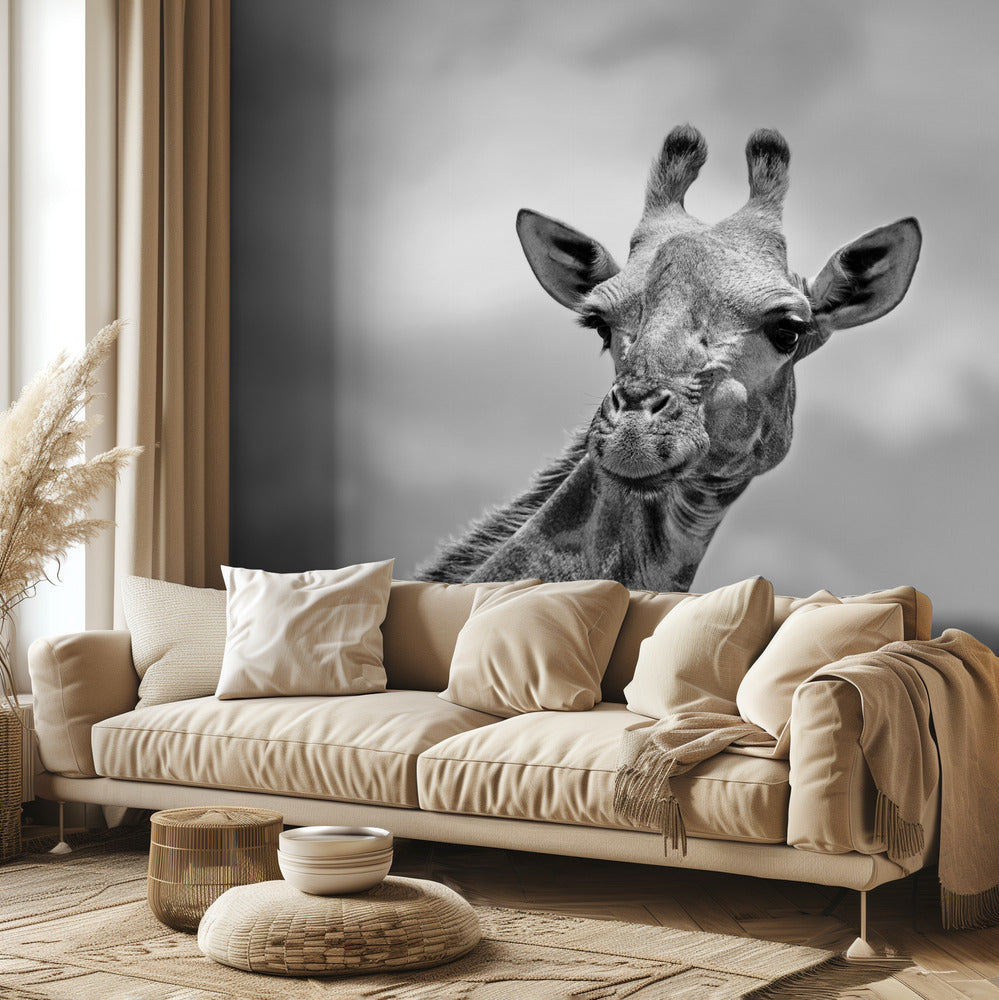 Giraffen - Wildlife V | Fototapet