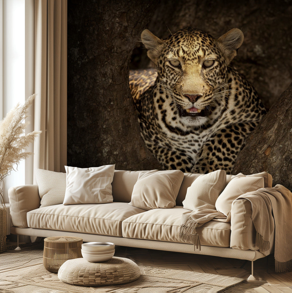 Leopardo descansando en un árbol en Masai Mara | Papel Pintado Fotográfico
