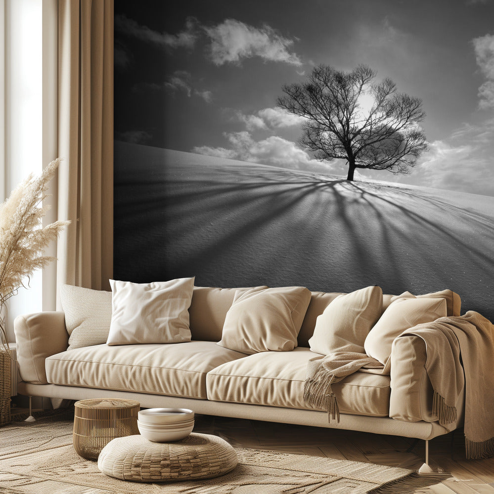 Tree Shadow | Wallpaper