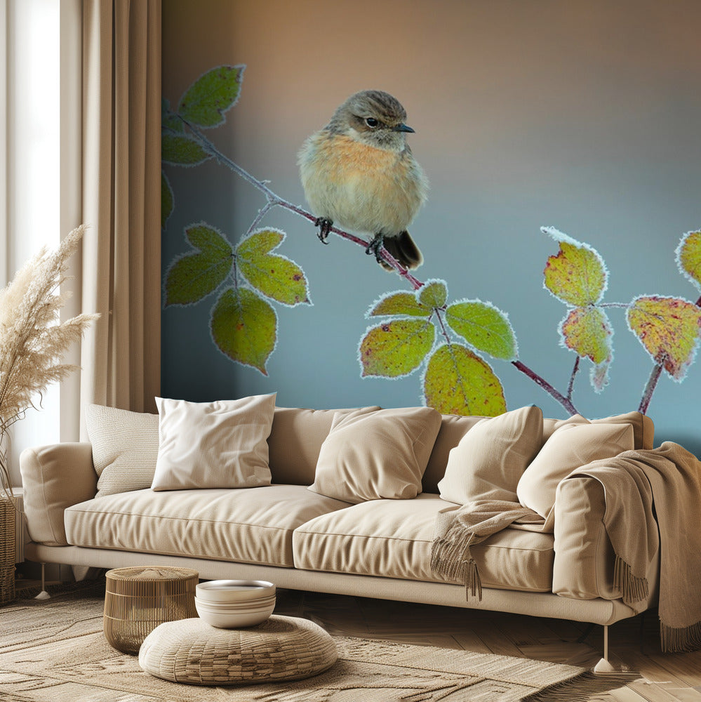 Winter colors | Wallpaper