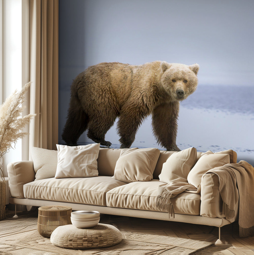 La promenade de l'ours | Papier Peint Photo