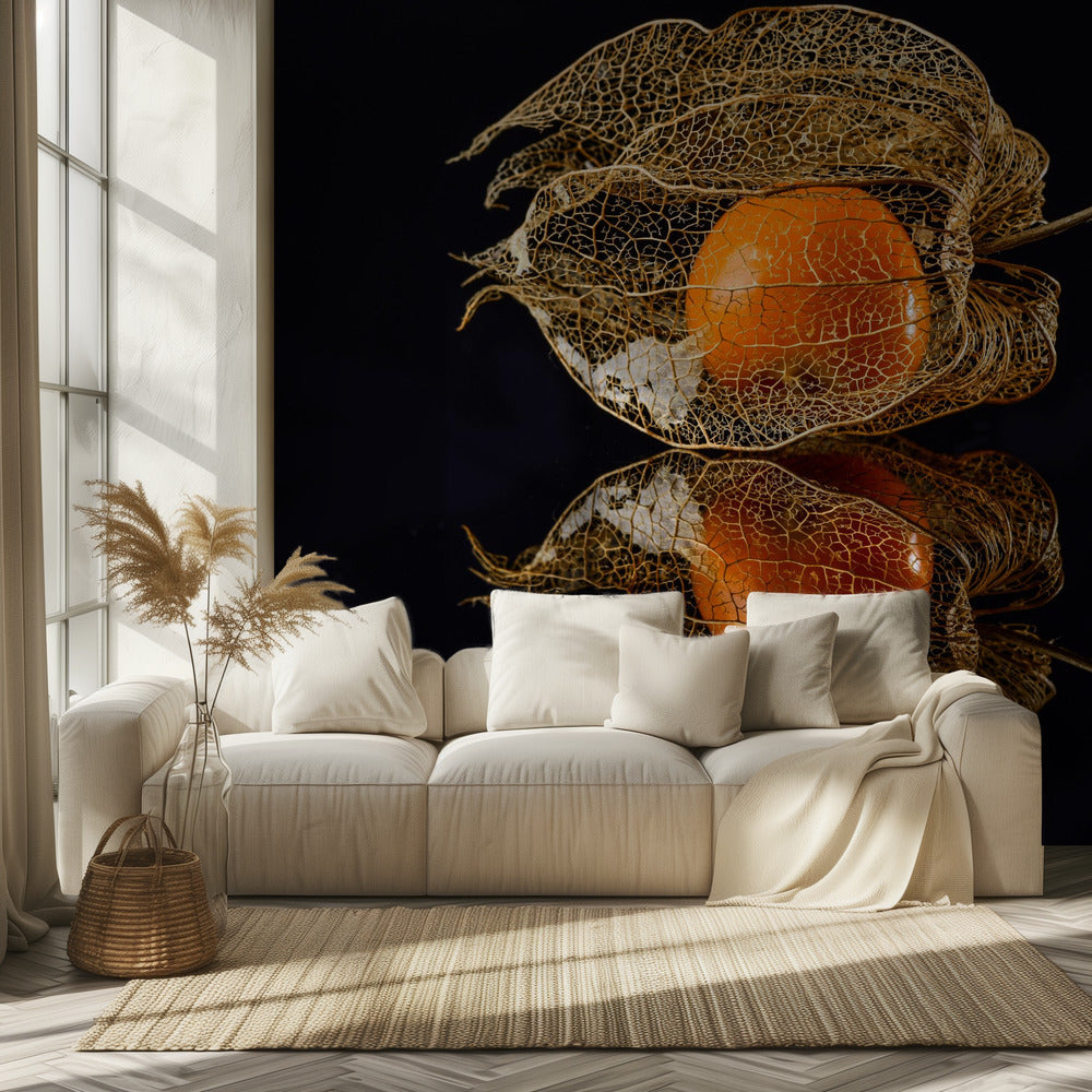 Physalis | Papier Peint Photo
