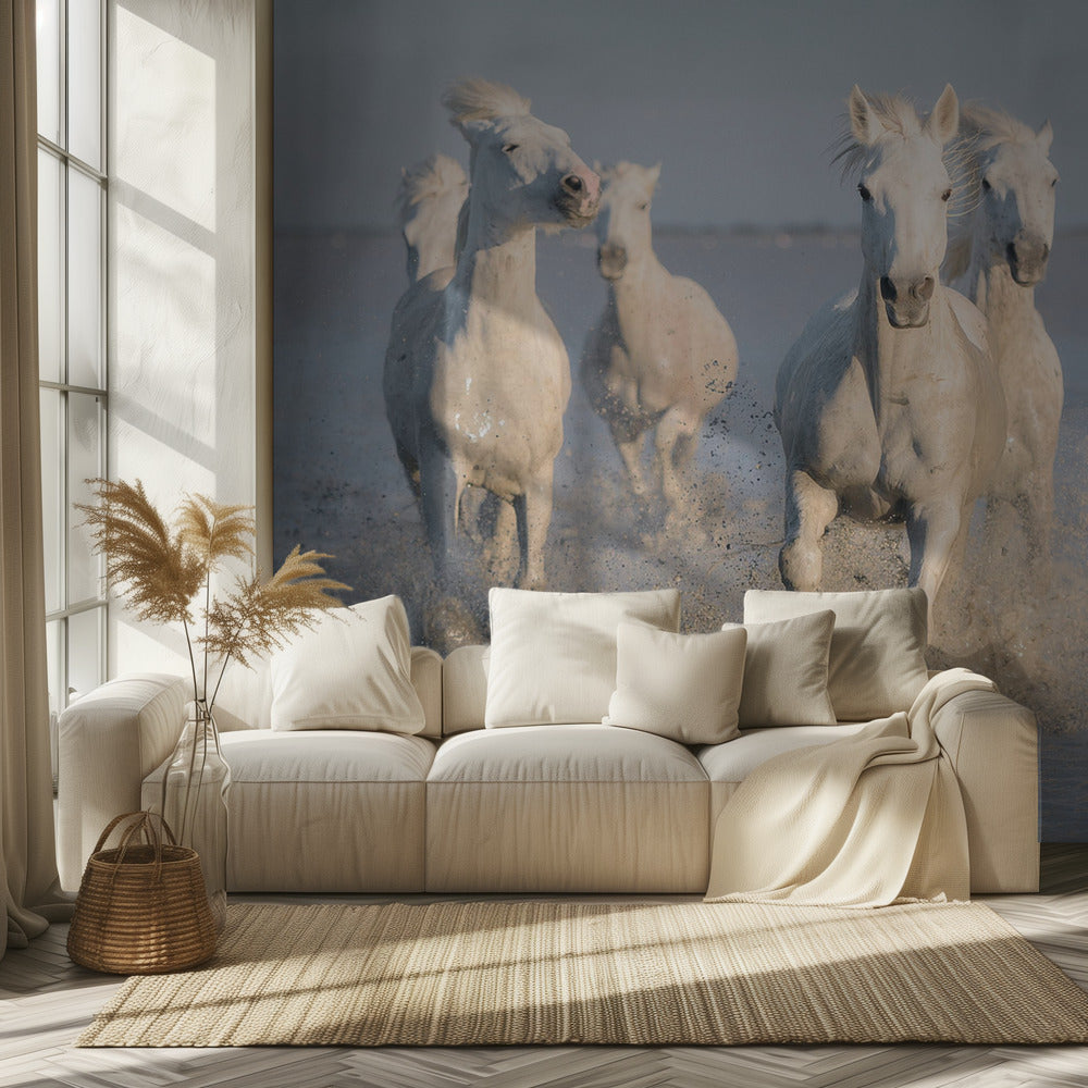 caballos | Papel Pintado Fotográfico