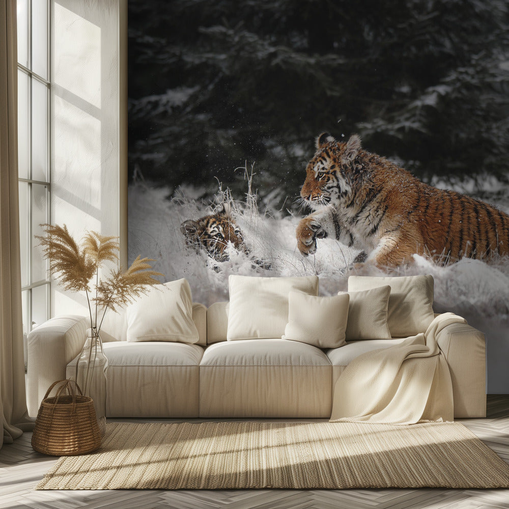 Joie sur la neige | Papier Peint Photo