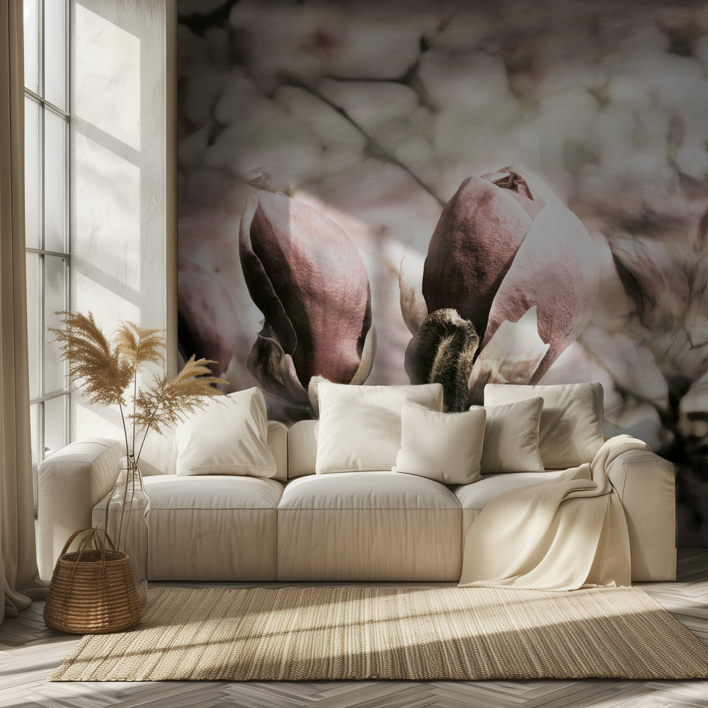 Magnolienfrühling | Fototapeten