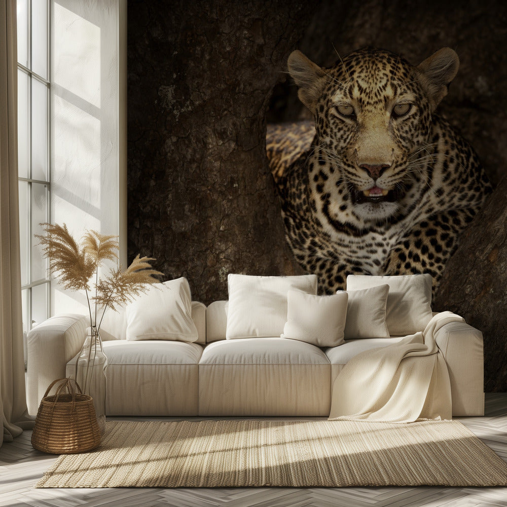 Leopardo descansando en un árbol en Masai Mara | Papel Pintado Fotográfico