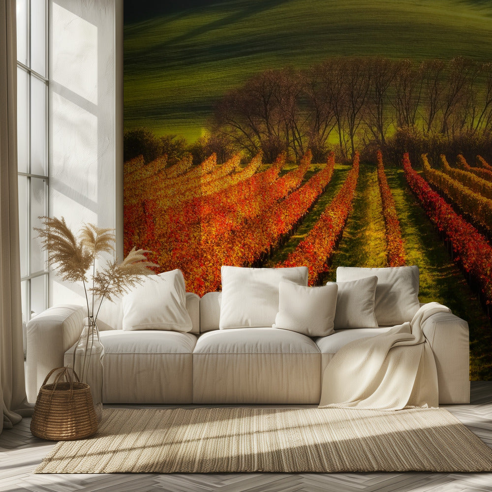 cultivo de la vid | Papel Pintado Fotográfico