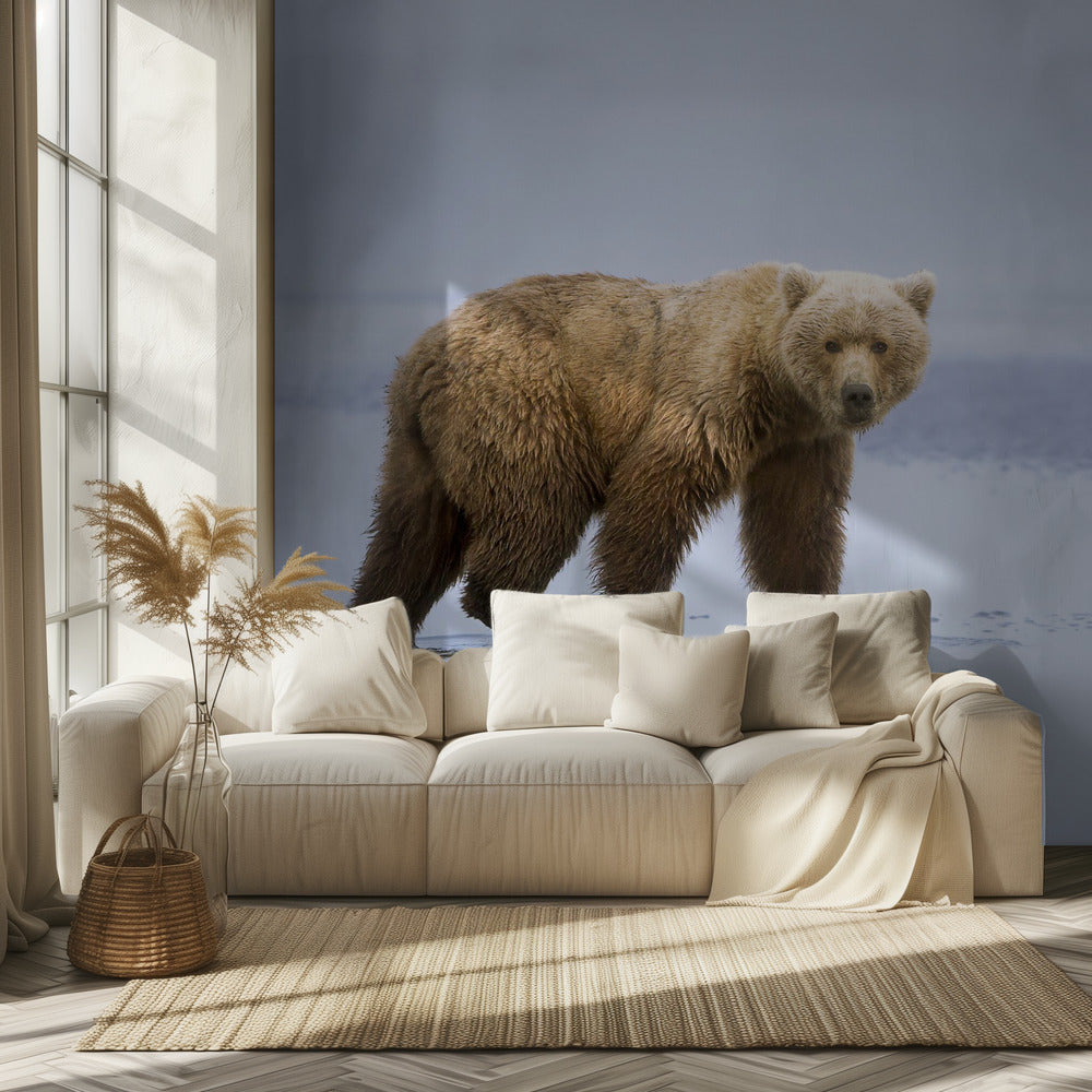 La promenade de l'ours | Papier Peint Photo
