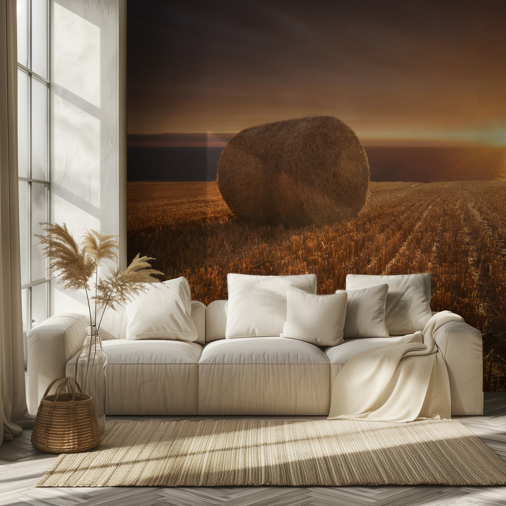 Cosecha de oro | Papel Pintado Fotográfico