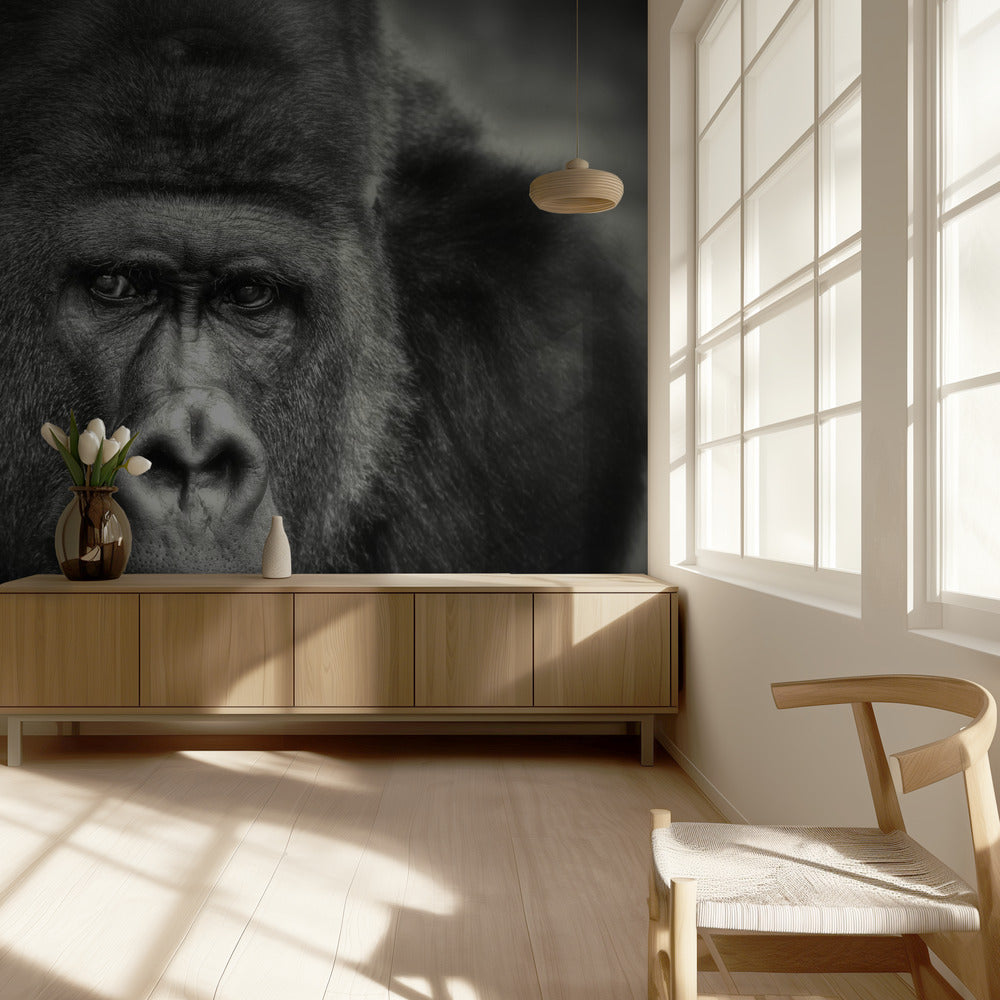 LILLE SMIL .... | Fototapeter