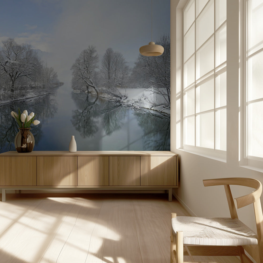 Vinter | Fototapeter