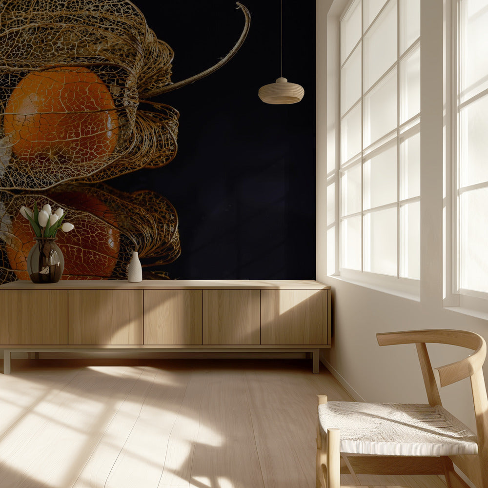 Physalis | Papier Peint Photo