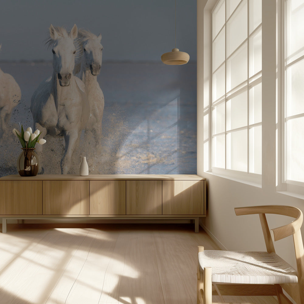 caballos | Papel Pintado Fotográfico