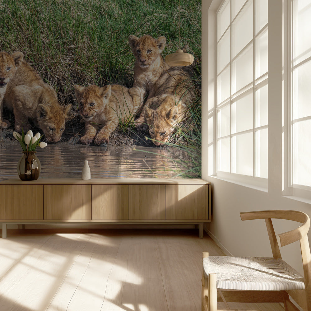 Remettre le groupe ensemble. . . . | Papier Peint Photo