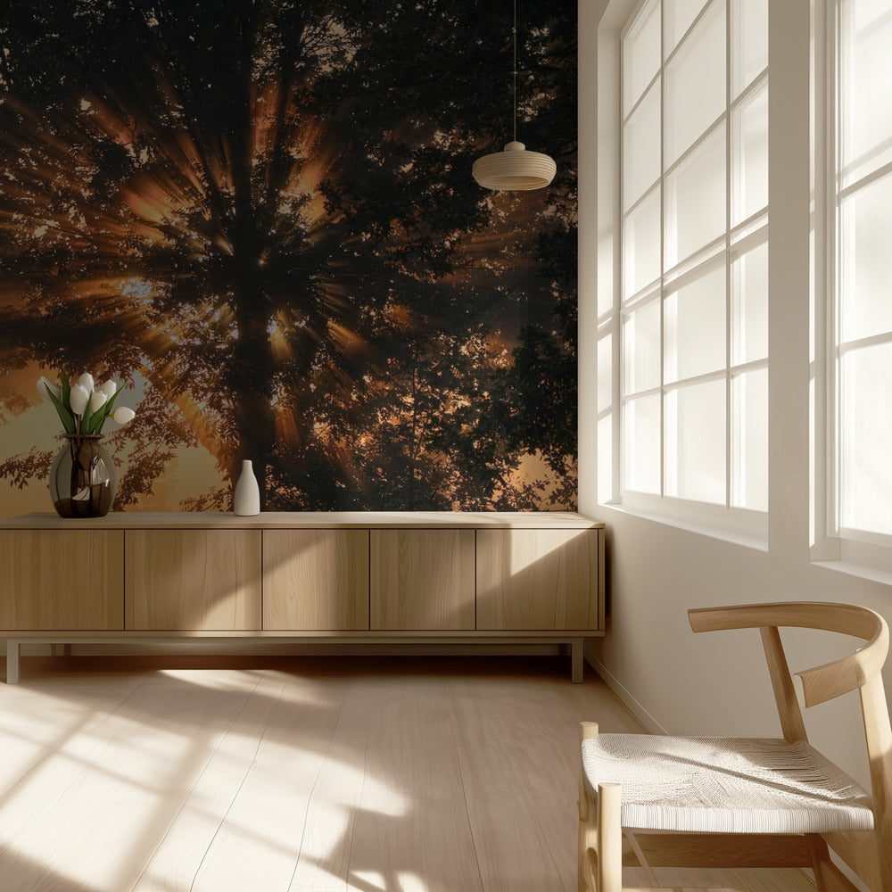 Arbre en feu | Papier Peint Photo