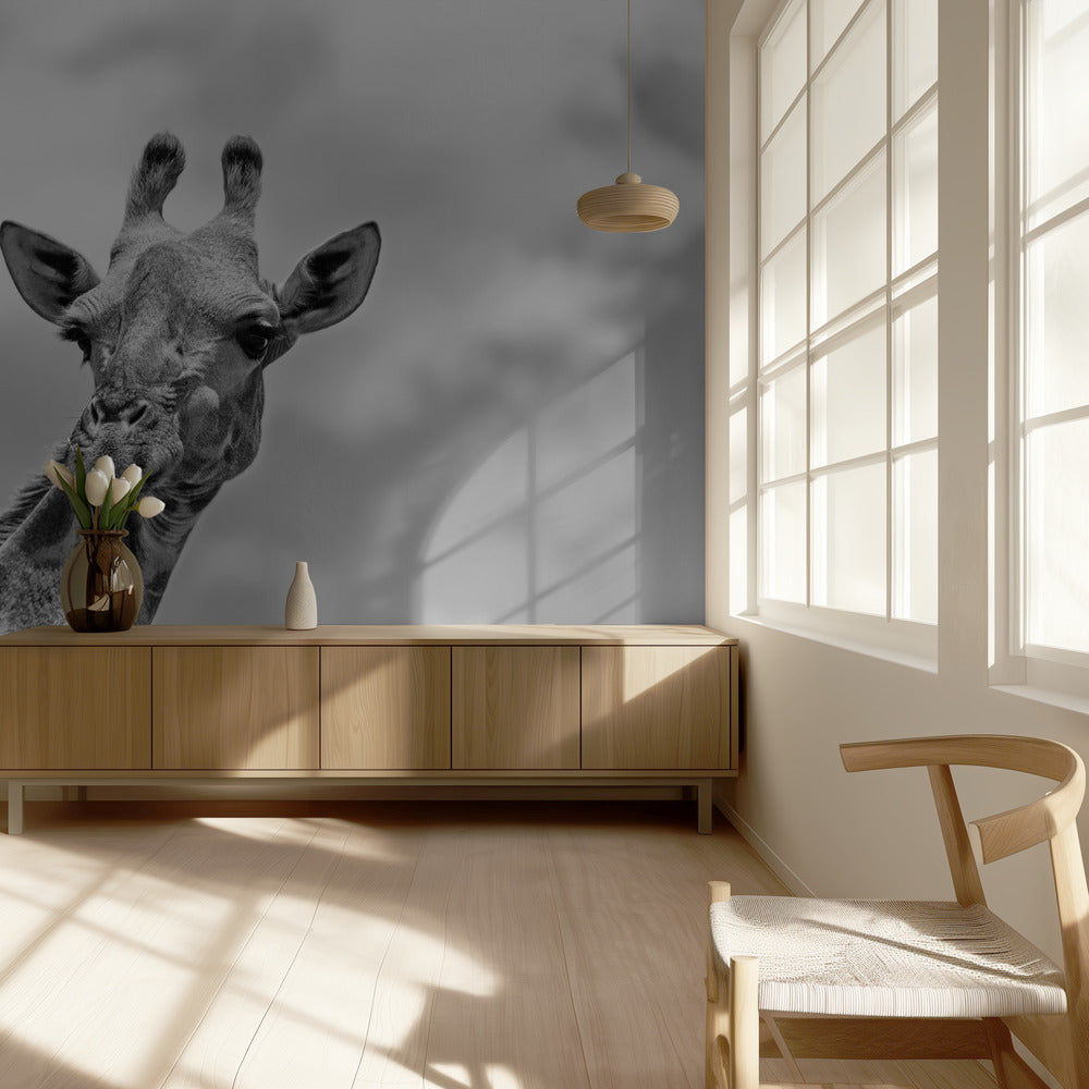 Giraffen - Wildlife V | Fototapet
