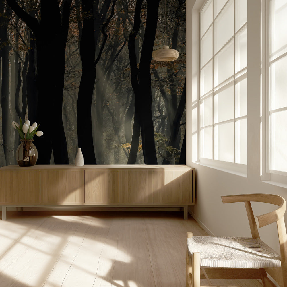 Speulderbos | Papier Peint Photo