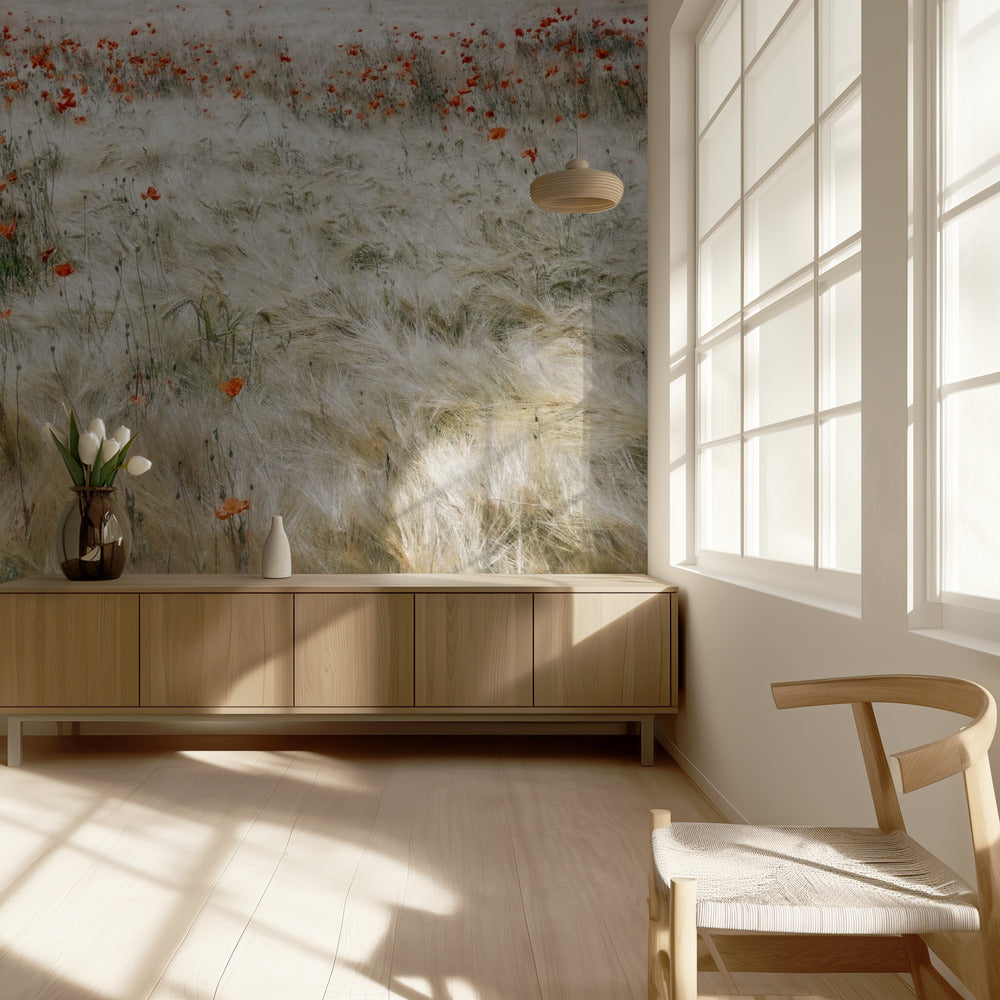 Summerfield | Fototapeter