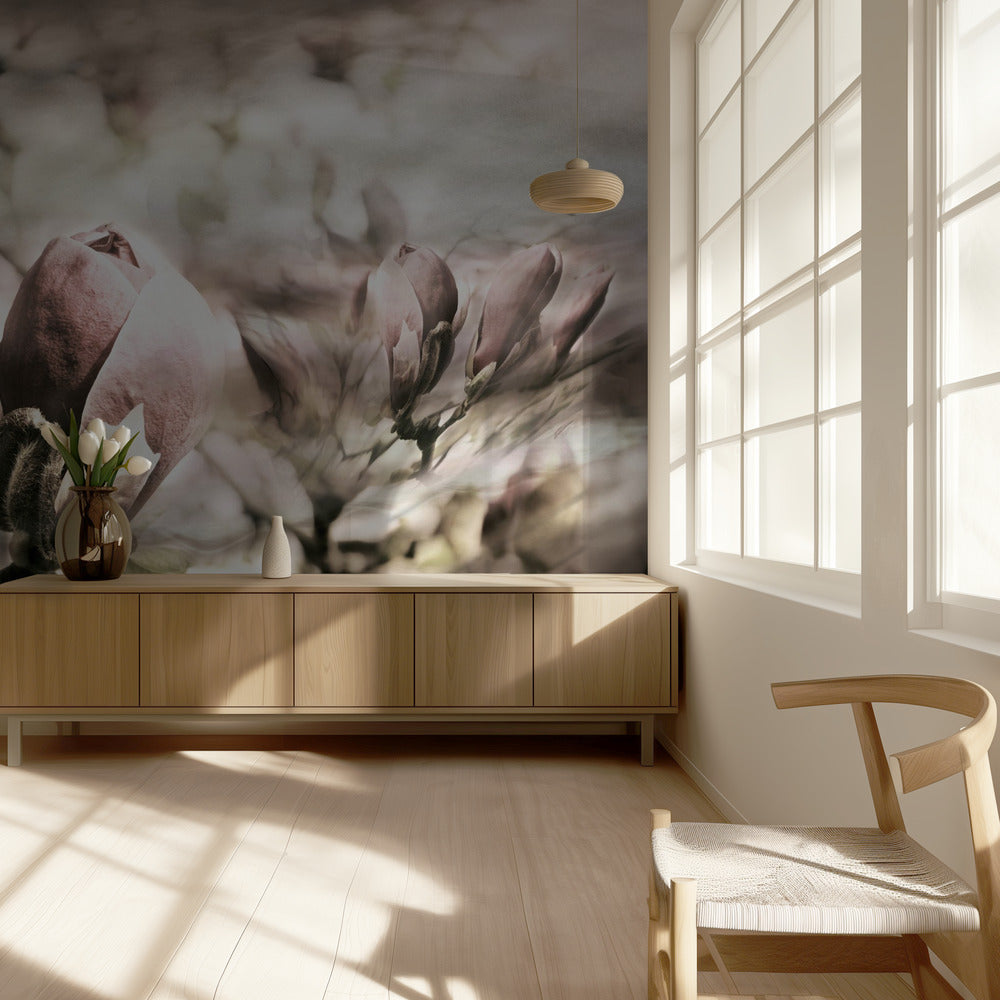 Magnolienfrühling | Fototapeten